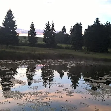Kammbaude *